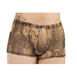 Boxer Savanna  - LM61-67