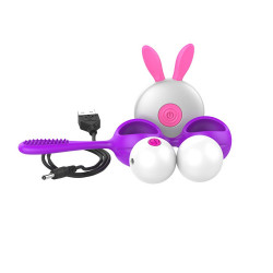 Boules de Geisha Vibrantes USB avec télécommande Bunny - KOB019PUR